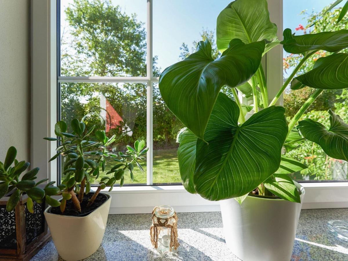 Nice Flat With Sauna Covered Terrace Garden And Tree House For Children Zandt المظهر الخارجي الصورة